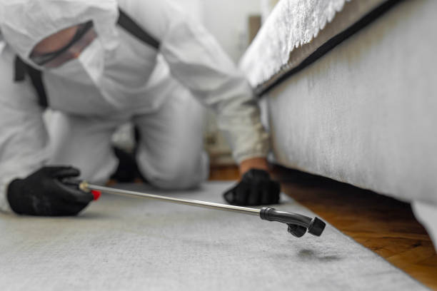 Professional Ant Control technician working in Harbour Heights, FL