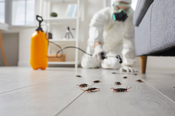 Trusted Fumigation Services service in Harbour Heights, FL - Nex Pest Control
