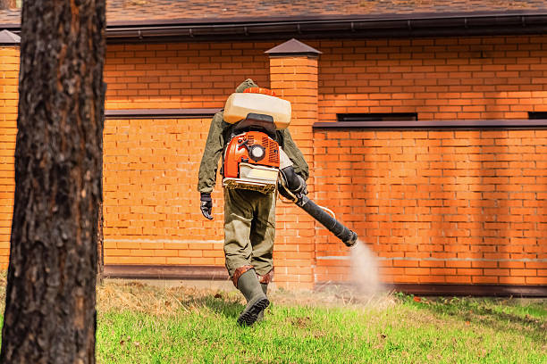Trusted Emergency Pest Control service in Harbour Heights, FL - Nex Pest Control